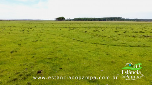 INICIO GADO TOP.00_02_11_10.Quadro031_df9bbef42081e30be29f0de27291e23a8c145e4a.jpg